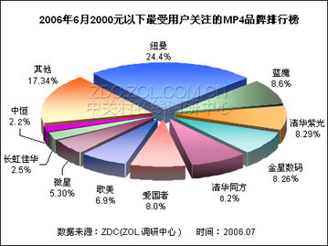 國(guó)產(chǎn)MP4廠商包攬低端市場(chǎng)全席 市場(chǎng)調(diào)查分析
