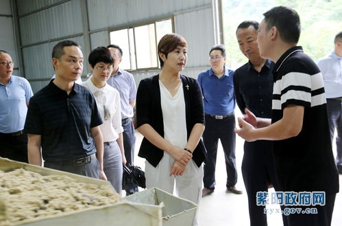 陳蓮調(diào)研工業(yè)穩(wěn)增長(zhǎng)與新社區(qū)工廠發(fā)展工作