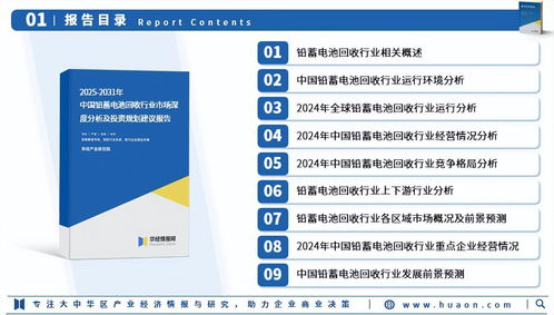 2025年中國(guó)鉛蓄電池回收行業(yè)市場(chǎng)深度調(diào)查及投資前景預(yù)測(cè)報(bào)告
